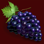 Grape