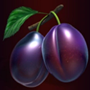Plum